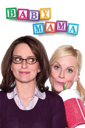 Baby Mama (2008) Hindi Dual Audio | Hindi Dubbed Movie BluRay [900MB]