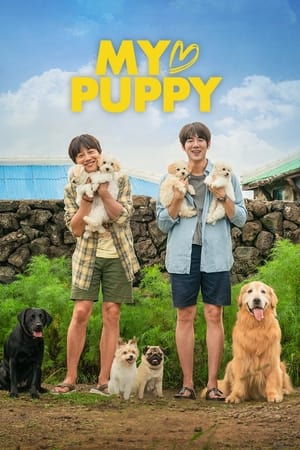 My Heart Puppy (2022) Hindi Dual Audio HDRip | Hindi Dubbed Movie – 480p